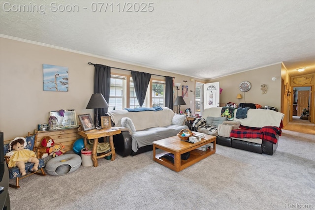 3410 Eastdale Dr, Flint, MI 48506 - carpeted living room featuring a textured ceiling and ornamental molding