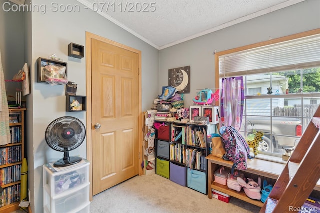 3410 Eastdale Dr, Flint, MI 48506 - game room featuring ornamental molding, carpet floors, and a textured ceiling