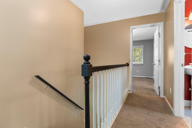 2017 Cumberland Dr, Brighton, MI 48114 - stairs with carpet floors and crown molding