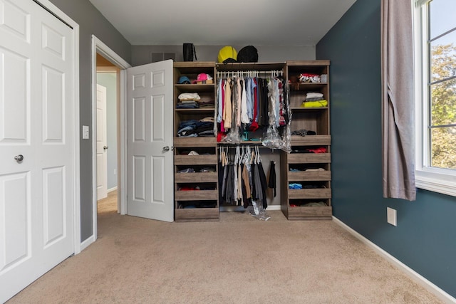 2017 Cumberland Dr, Brighton, MI 48114 - walk in closet with carpet flooring