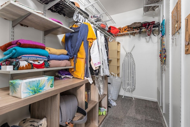 2017 Cumberland Dr, Brighton, MI 48114 - walk in closet with carpet flooring