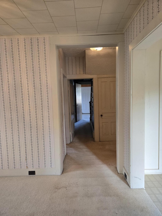 505 N Pine St, Evart, MI 49631 - hallway featuring wallpapered walls and carpet floors
