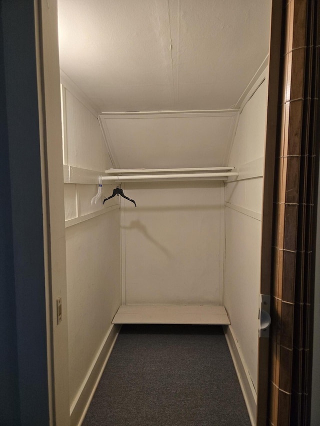 505 N Pine St, Evart, MI 49631 - walk in closet with carpet and lofted ceiling