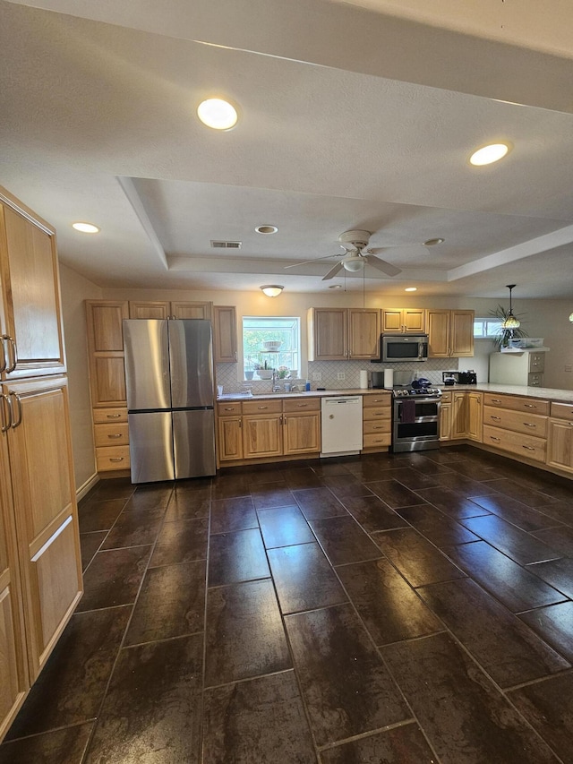 227 W Nelson St, Hastings, MI 49058 - kitchen with stainless steel appliances, light countertops, a tray ceiling, ceiling fan, and recessed lighting