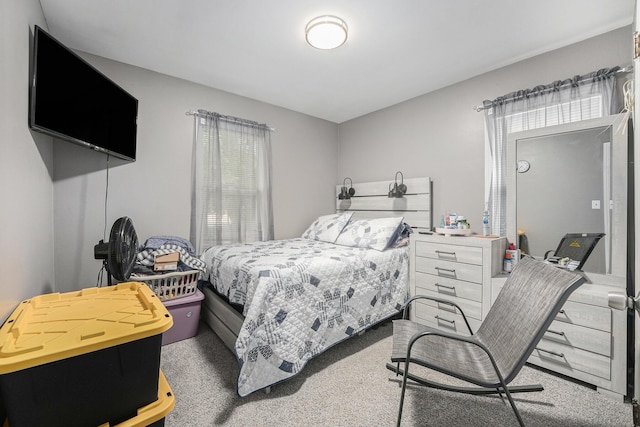 2620 Charlesgate Ave SW, Wyoming, MI 49509 - bedroom featuring carpet flooring