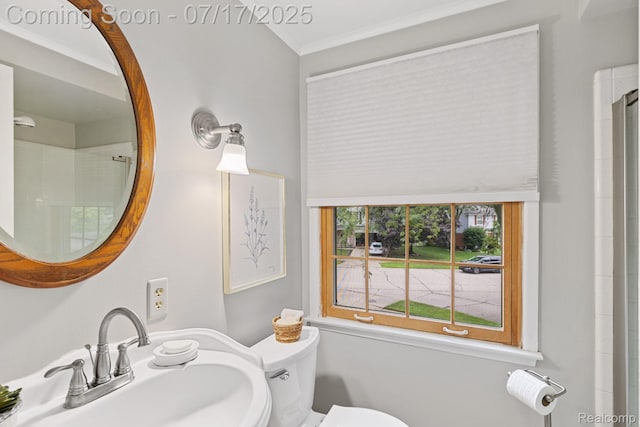 455 Leicester St, Plymouth, MI 48170 - bathroom with crown molding and a shower