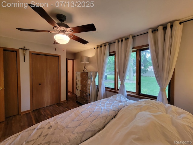 14373 Racho Blvd, Taylor, MI 48180 - bedroom featuring wood finished floors, a ceiling fan, and multiple closets