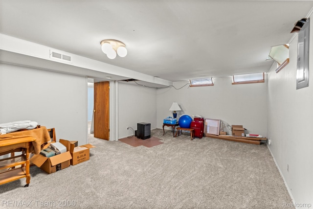 7396 N Charlesworth St, Dearborn Heights, MI 48127 - basement featuring carpet floors