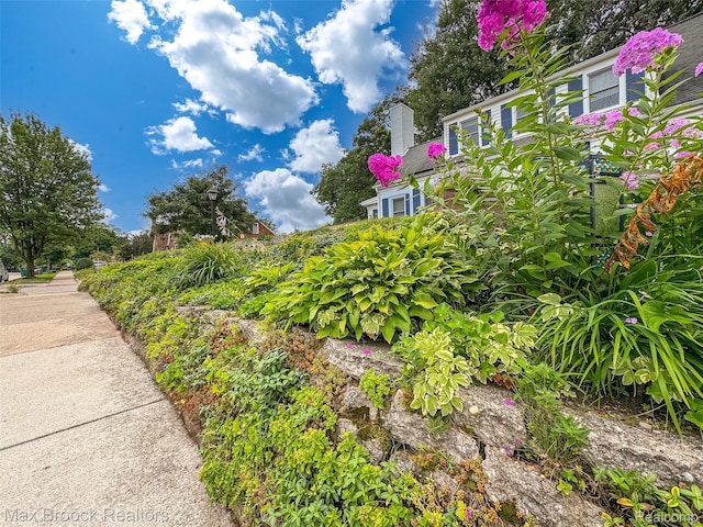 611 N Melborn St, Dearborn, MI 48128 - view of yard