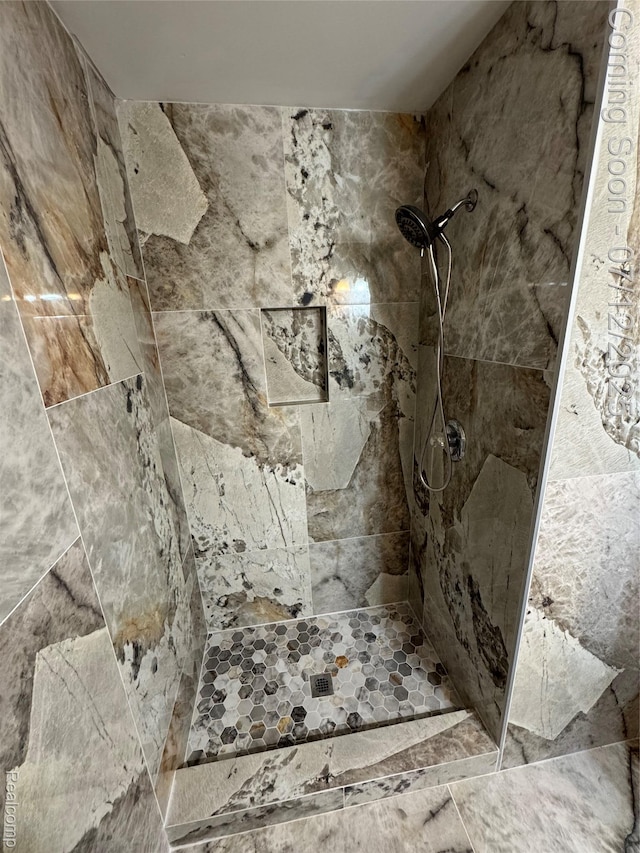 45562 Warwick Dr, Macomb, MI 48044 - bathroom featuring a tile shower
