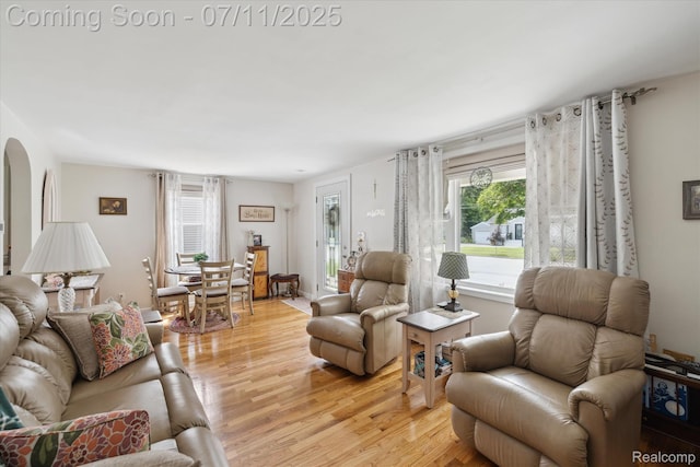 1338 W King St, Owosso, MI 48867 - living room featuring light wood-style flooring and healthy amount of natural light