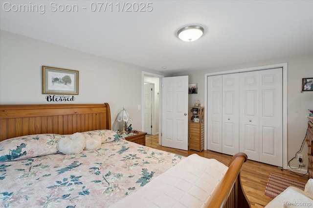 1338 W King St, Owosso, MI 48867 - bedroom featuring a closet and light wood-type flooring