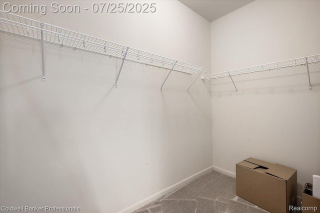 50182 Sawyer Rd, Canton, MI 48188 - photo 40