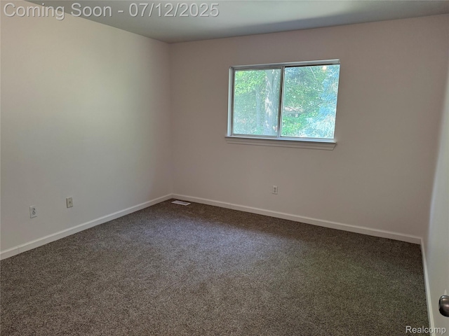 6295 Hunter Pointe St, Dearborn, MI 48185 - photo 28