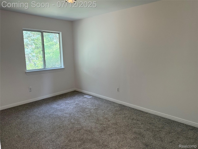 6295 Hunter Pointe St, Dearborn, MI 48185 - photo 26