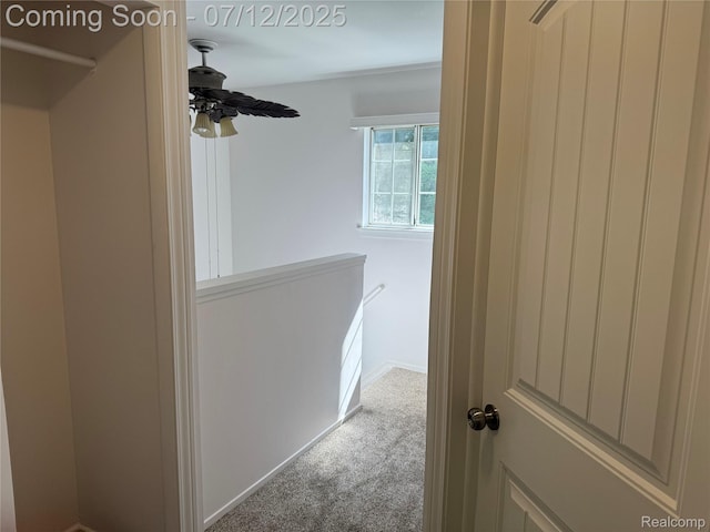 6295 Hunter Pointe St, Dearborn, MI 48185 - photo 33