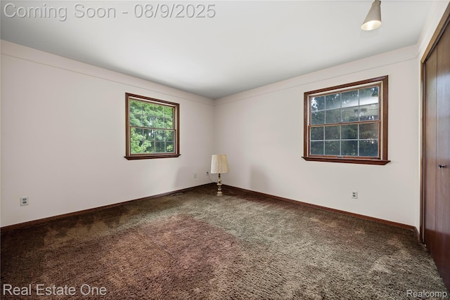 17240 Garvey, Chelsea, MI 48118 - photo 9
