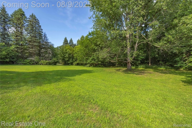 17240 Garvey, Chelsea, MI 48118 - photo 25