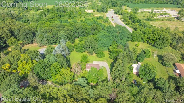 17240 Garvey, Chelsea, MI 48118 - photo 27