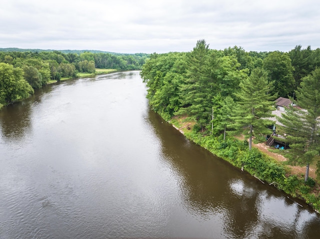 18150 Indian Village Rd, Big Rapids, MI 49307 - photo 22
