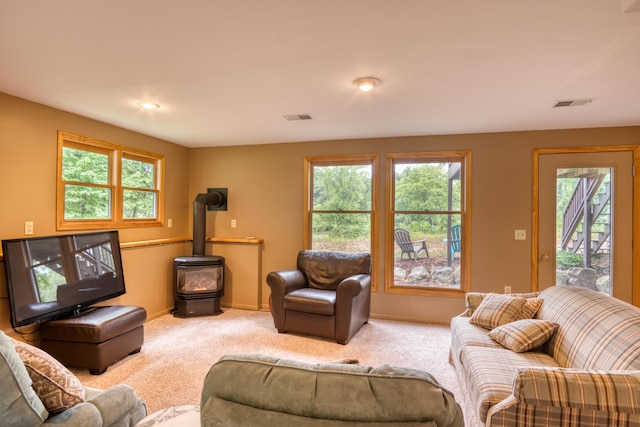 18150 Indian Village Rd, Big Rapids, MI 49307 - photo 47