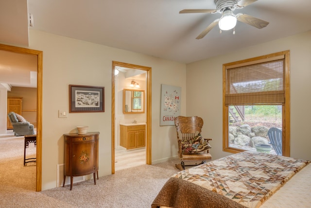 18150 Indian Village Rd, Big Rapids, MI 49307 - photo 51