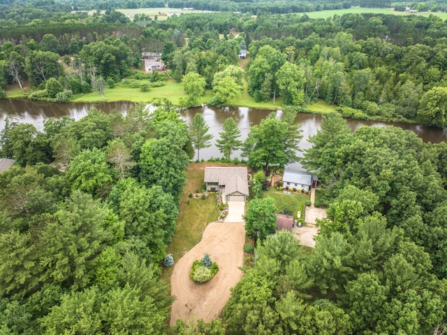 18150 Indian Village Rd, Big Rapids, MI 49307 - photo 7