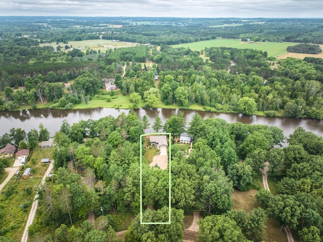 18150 Indian Village Rd, Big Rapids, MI 49307 - photo 11
