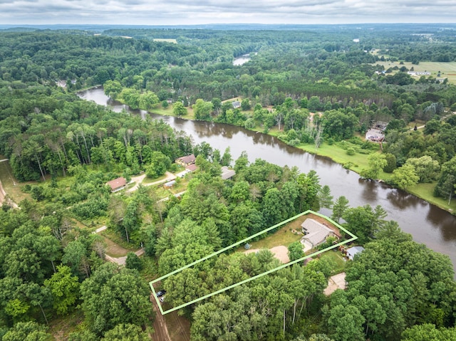 18150 Indian Village Rd, Big Rapids, MI 49307 - photo 12