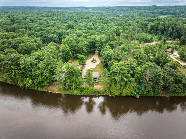 18150 Indian Village Rd, Big Rapids, MI 49307 - photo 15