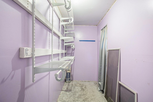 404 Susan Ave, Sturgis, MI 49091 - view of storage