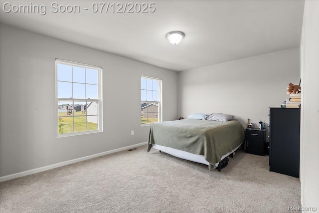 3071 Ivy Wood Cir, Howell, MI 48855 - photo 14