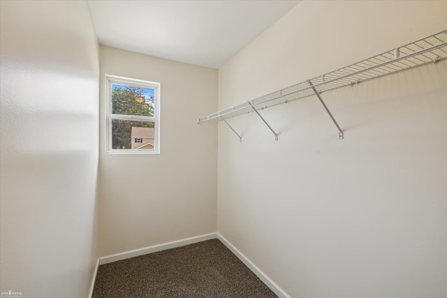 180 Ash St, Corunna, MI 48817 - walk in closet with carpet