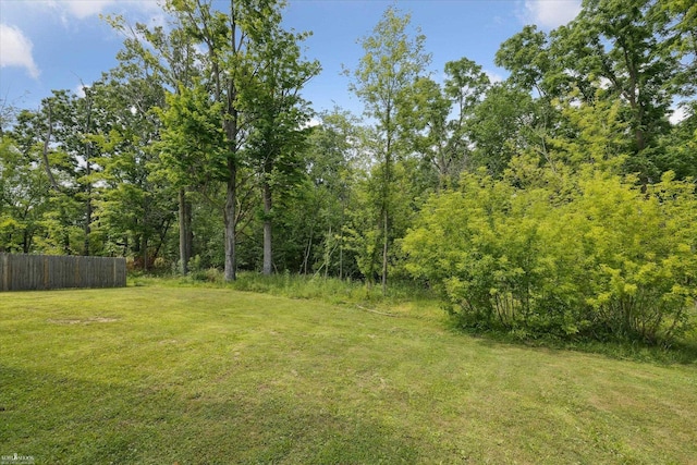 180 Ash St, Corunna, MI 48817 - view of yard featuring a wooded view