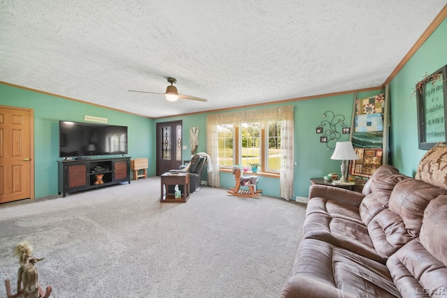 12345 W Dunbar Rd, Dundee, MI 48131 - photo 8