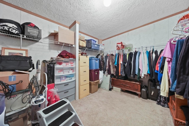 12345 W Dunbar Rd, Dundee, MI 48131 - photo 20