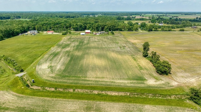 12345 W Dunbar Rd, Dundee, MI 48131 - photo 80
