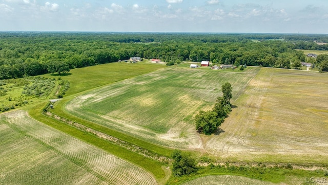 12345 W Dunbar Rd, Dundee, MI 48131 - photo 82