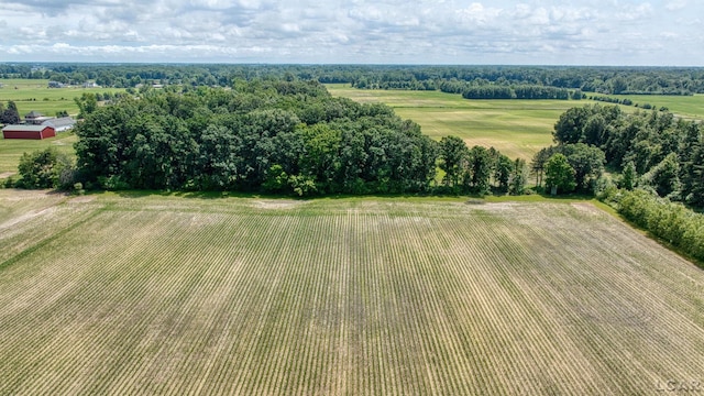 12345 W Dunbar Rd, Dundee, MI 48131 - photo 78