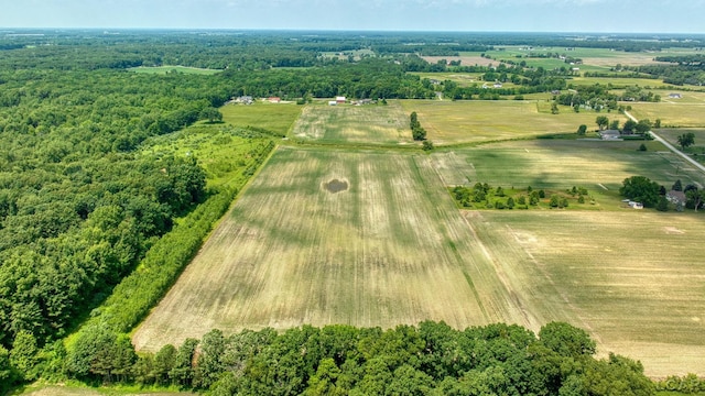 12345 W Dunbar Rd, Dundee, MI 48131 - photo 85
