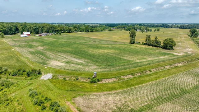 12345 W Dunbar Rd, Dundee, MI 48131 - photo 83