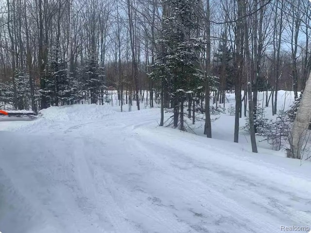 33902 W Birch Shores Dr, Trout Lake, MI 49793 - photo 12