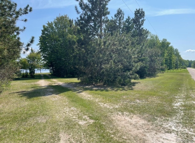 33902 W Birch Shores Dr, Trout Lake, MI 49793 - photo 10