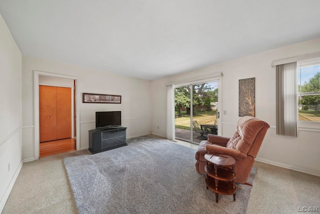 608 Brook St, Tecumseh, MI 49286 - living area featuring carpet flooring and plenty of natural light