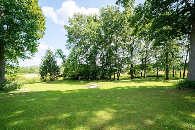 11605 Dunmaglas Dr, Bath, MI 48808 - photo 61