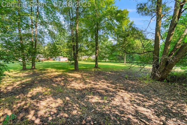 6315 Heyer St, Romulus, MI 48174 - photo 51
