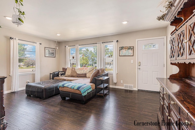 8611 Byron Center Ave SW, Byron Center, MI 49315 - living room featuring plenty of natural light, dark wood-style floors, and recessed lighting