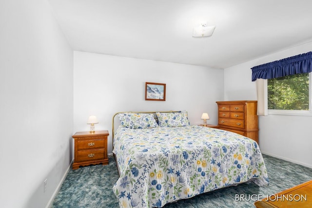 1236 S Van Bruggen Dr, Plainwell, MI 49080 - carpeted bedroom featuring baseboards