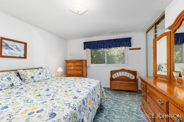 1236 S Van Bruggen Dr, Plainwell, MI 49080 - bedroom featuring dark colored carpet