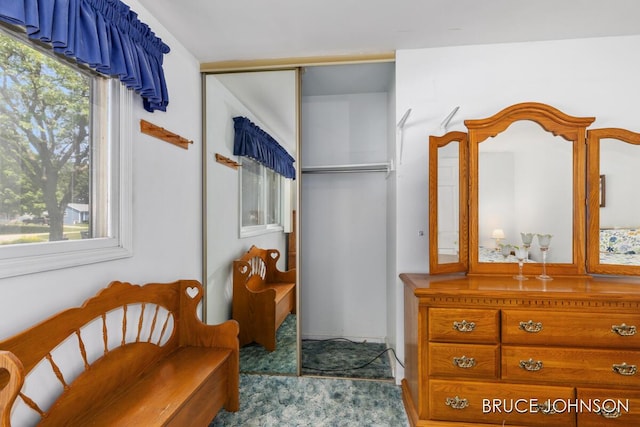 1236 S Van Bruggen Dr, Plainwell, MI 49080 - living area featuring carpet floors